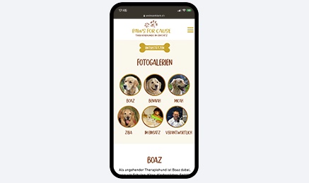 Screenshot Mobil